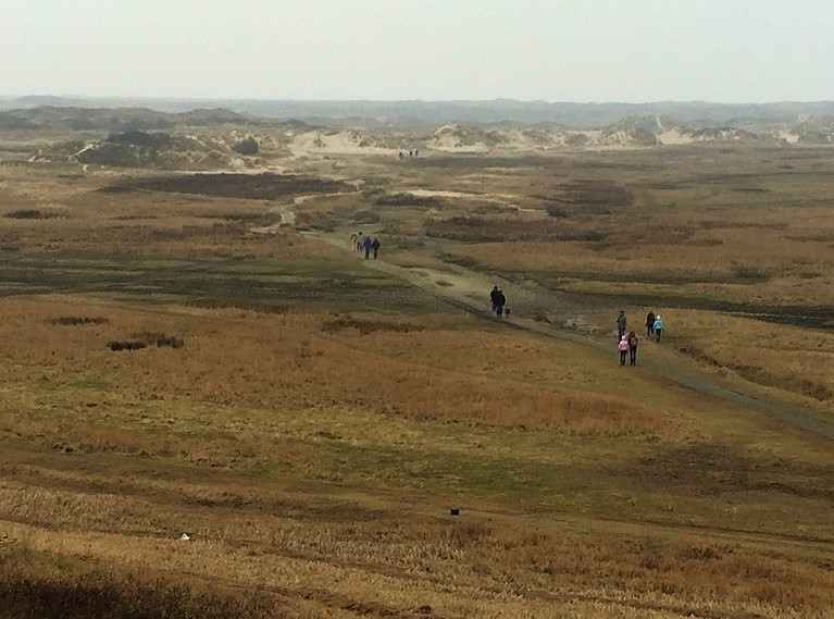 n_Foto 15-02-15 12 45 36.jpg